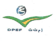 Direction des Projets Education - Formation (DPEF) Logo